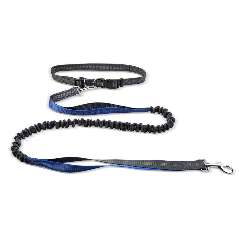 Dog Walking Belt with Detachable Shockproof Leash by My Store 4