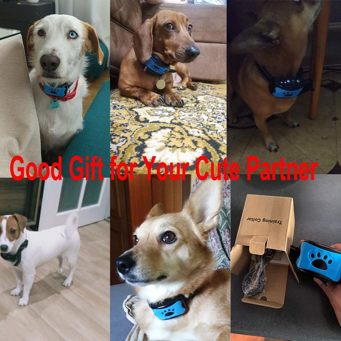 Ultrasonic Anti-Bark Dog Training Collar by My Store 4