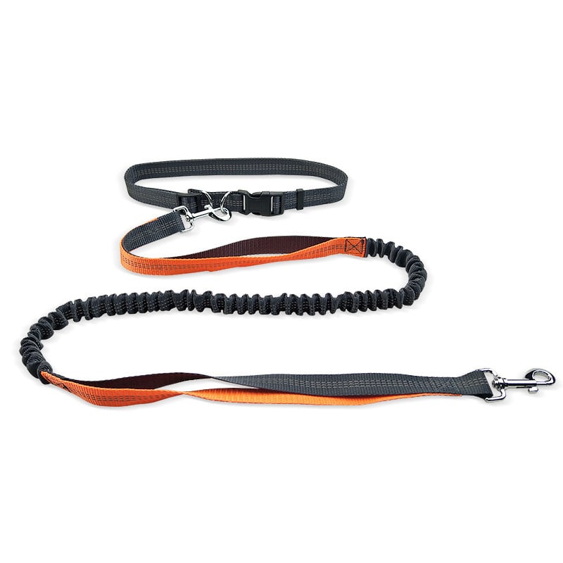Dog Walking Belt with Detachable Shockproof Leash by My Store 4