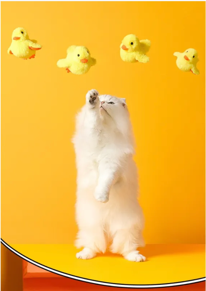 Automatic Electric Duck Cat Toy by My Store 4