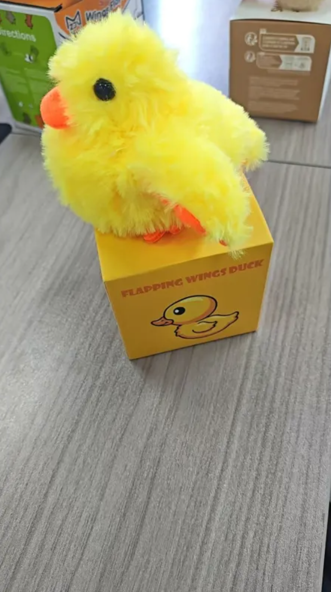 Plush Bird Pet Toy by My Store 4