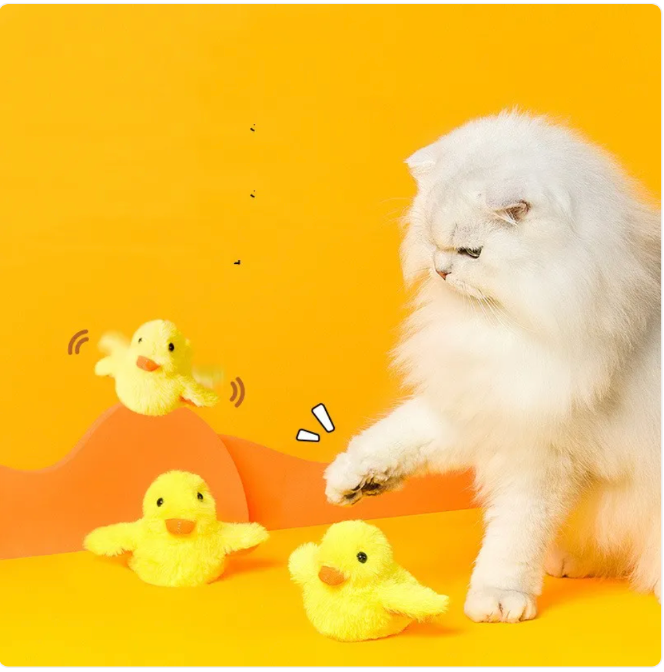 Automatic Electric Duck Cat Toy by My Store 4