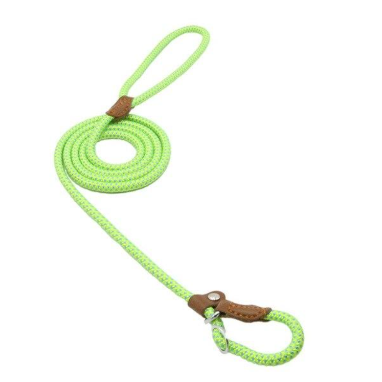 Nylon Pup Set by My Store 4