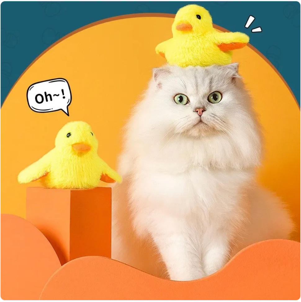 Automatic Electric Duck Cat Toy by My Store 4