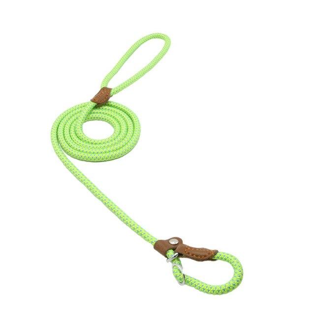 Nylon Pup Set by My Store 4