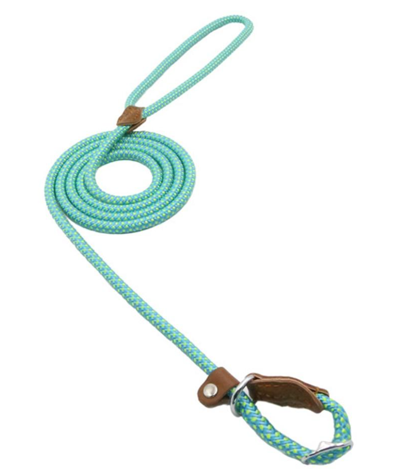 Nylon Pup Set by My Store 4