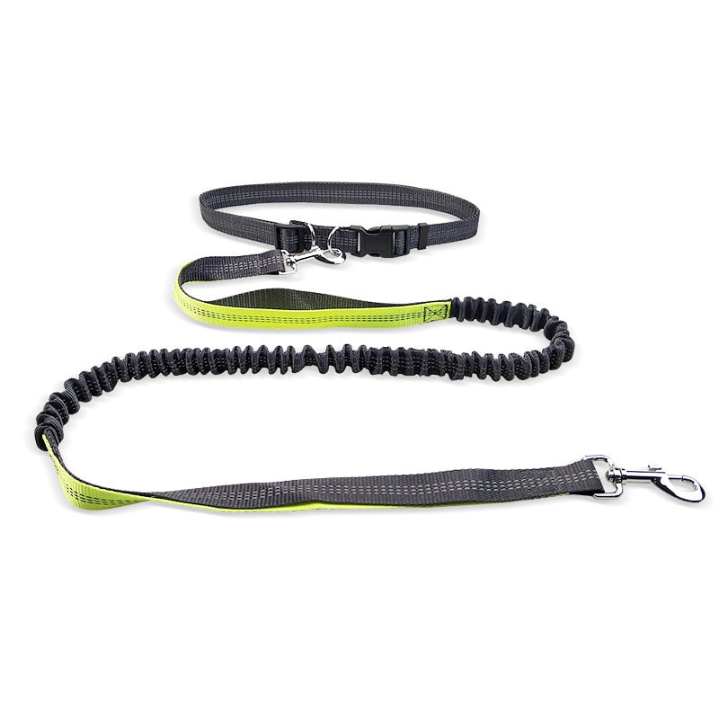 Dog Walking Belt with Detachable Shockproof Leash by My Store 4