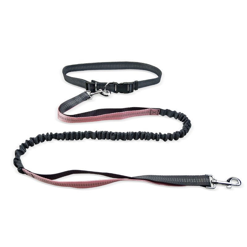 Dog Walking Belt with Detachable Shockproof Leash by My Store 4