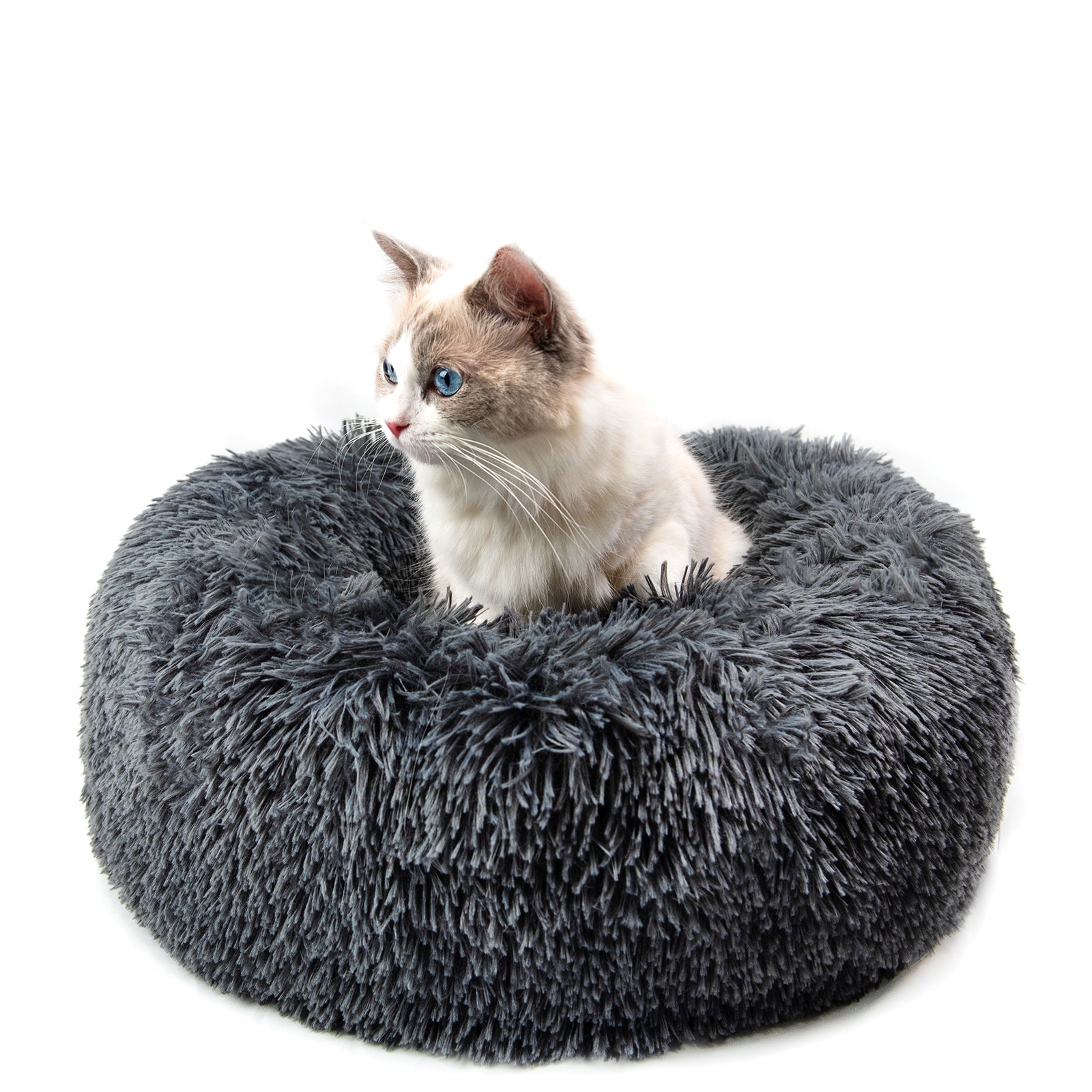 Round Plush Dog Bed for Small Dogs and Puppies by My Store 4