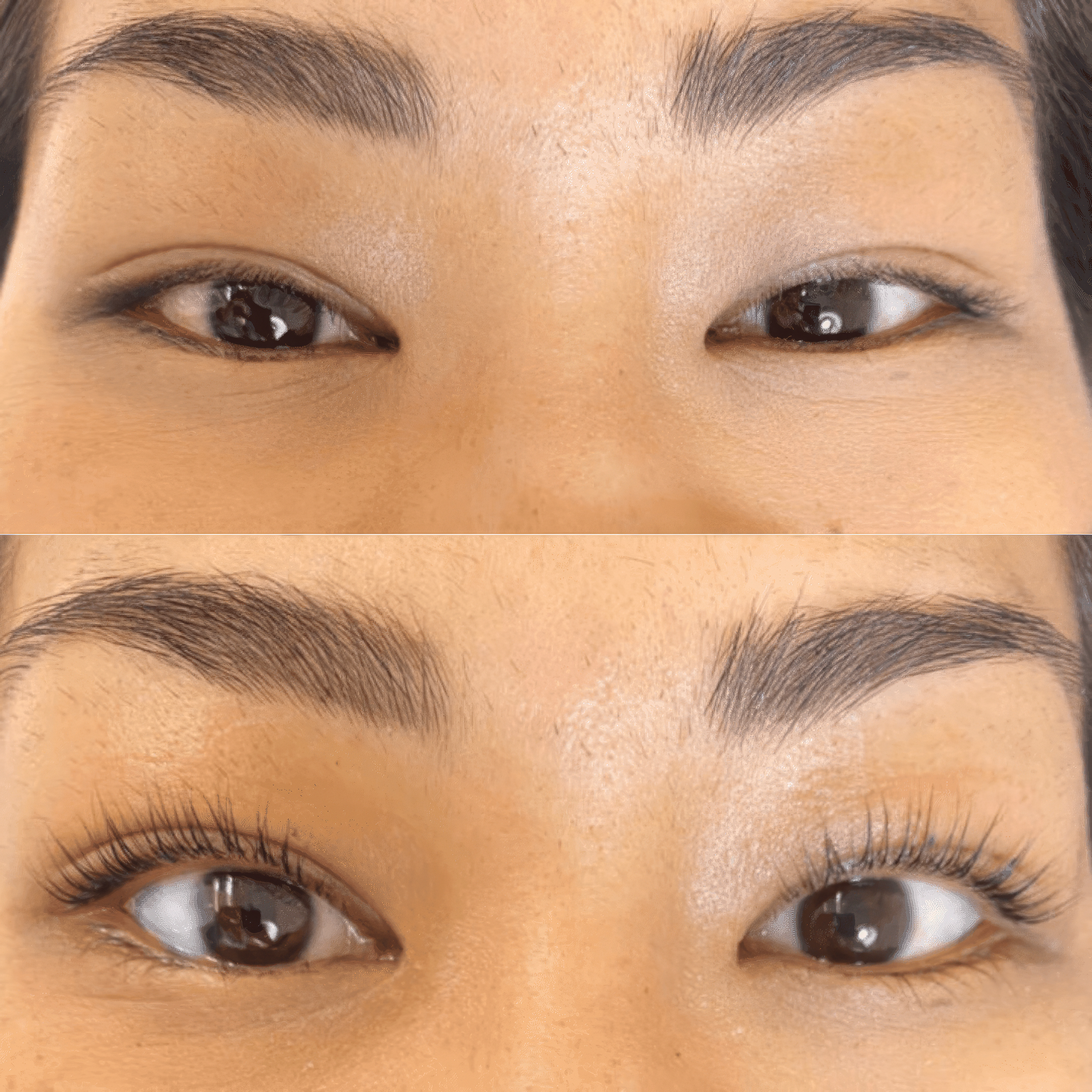 Luxe Lashlift Set (BUY 1 GET 1 FREE) by Luxe Cosmetics US