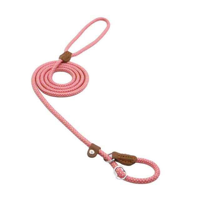 Nylon Pup Set by My Store 4