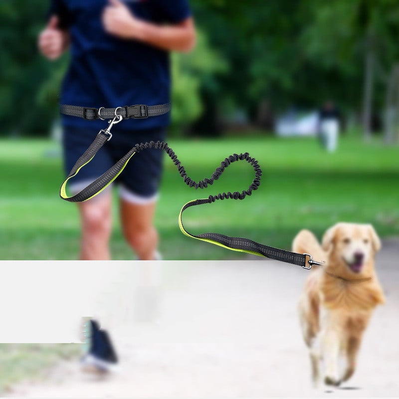 Dog Walking Belt with Detachable Shockproof Leash by My Store 4