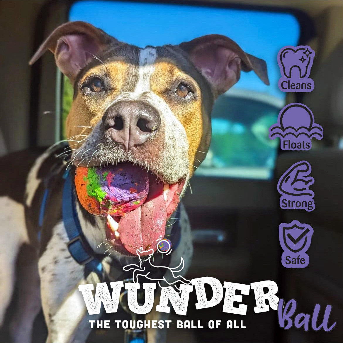 WUNDERball - Best Fetch Toy by WACKYstore