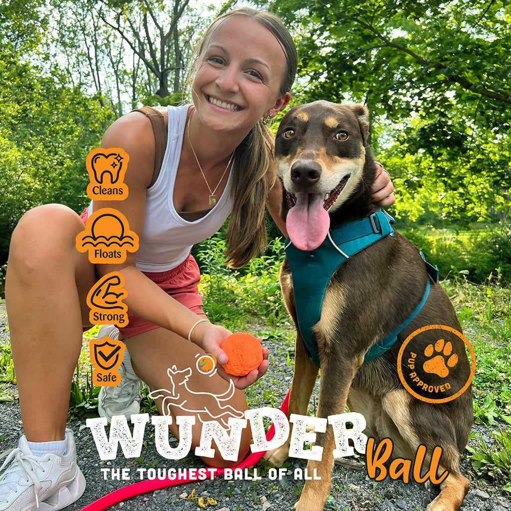 WUNDERball - Best Fetch Toy by WACKYstore