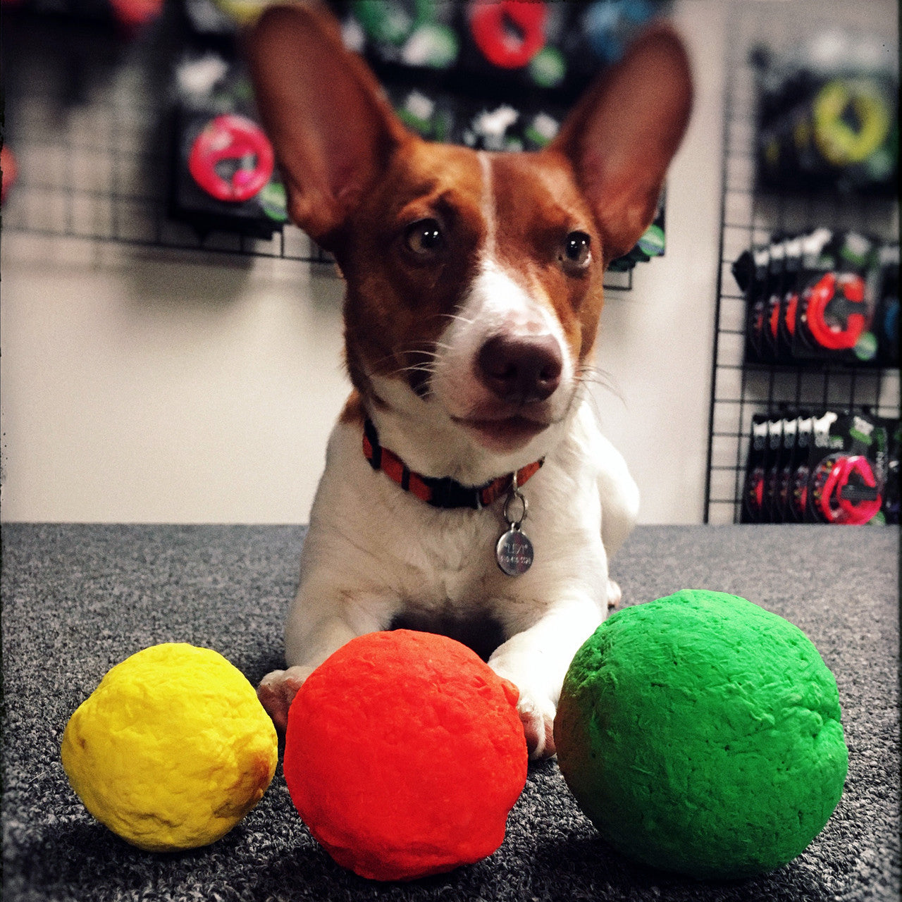 WUNDERball - Best Fetch Toy by WACKYstore