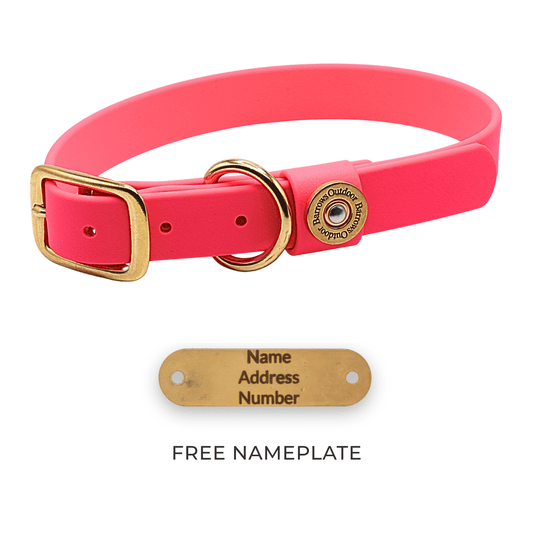 Barrows Dog Collar - Pink by Barrows Outdoor