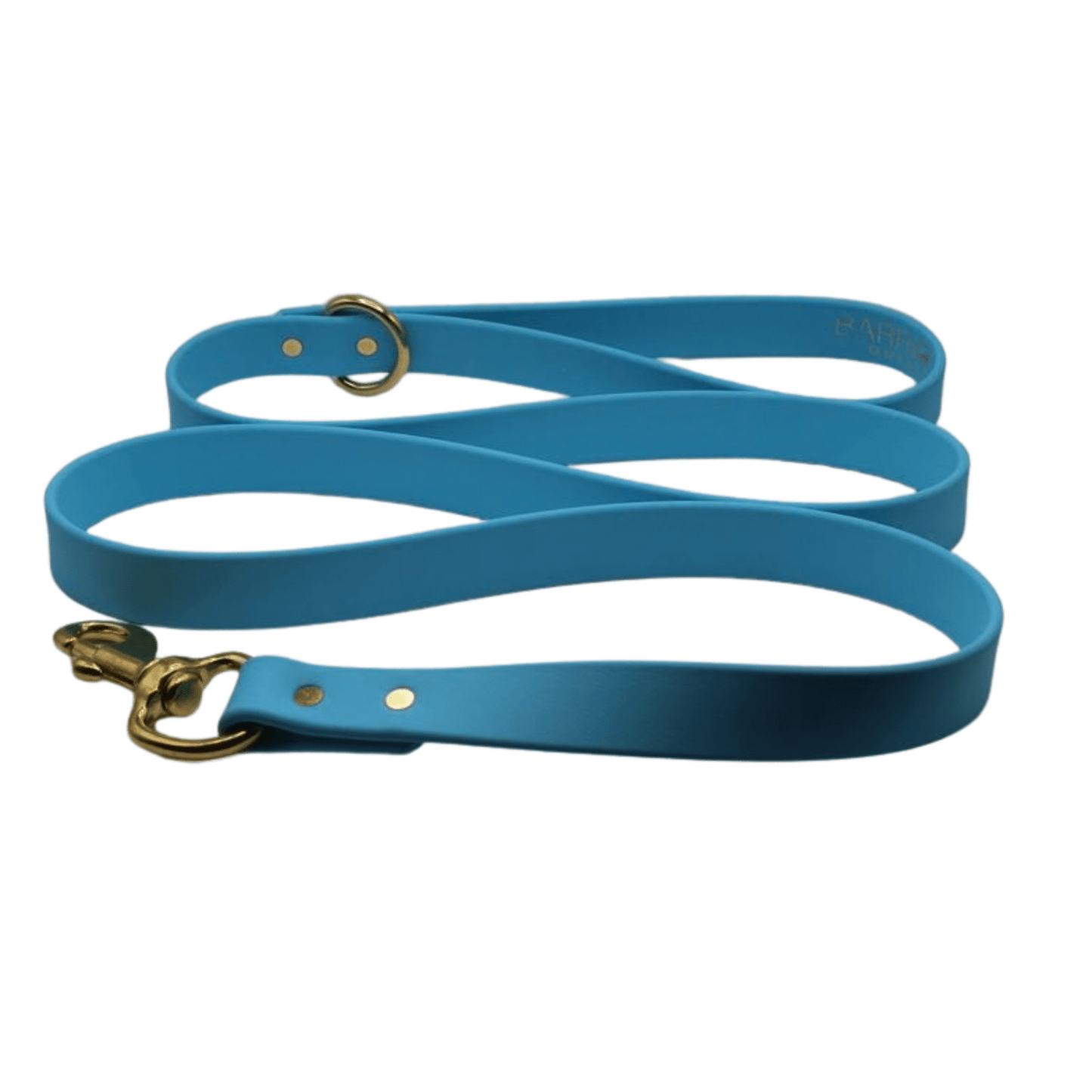 Barrows Dog Leash - Teal by Barrows Outdoor
