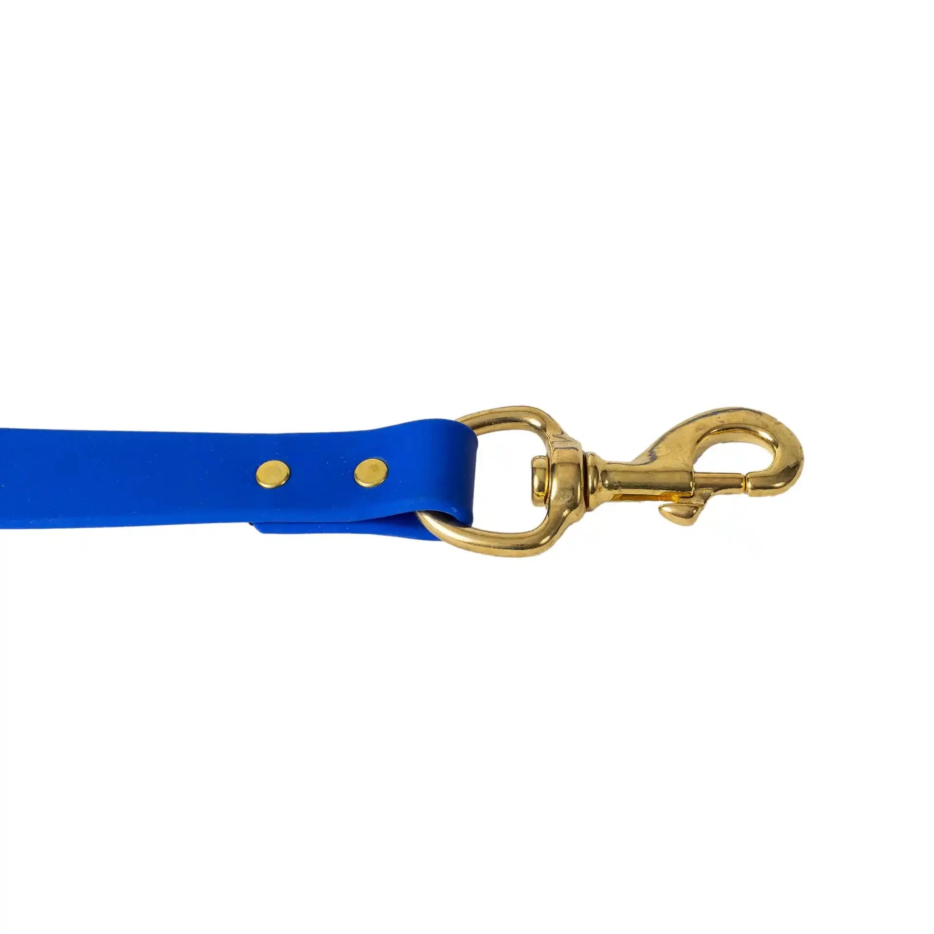 Barrows Dog Leash - Blue by Barrows Outdoor