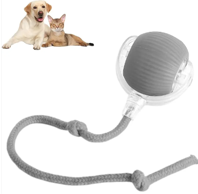 Smart Rolling Pet Ball by My Store 4