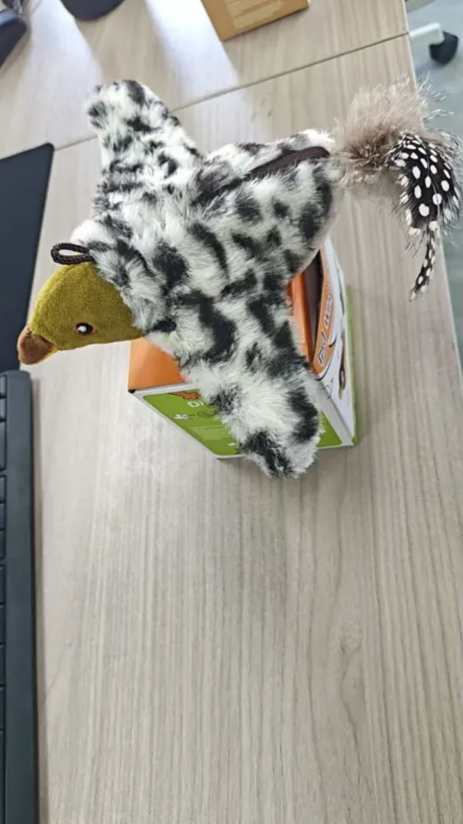 Plush Bird Pet Toy by My Store 4