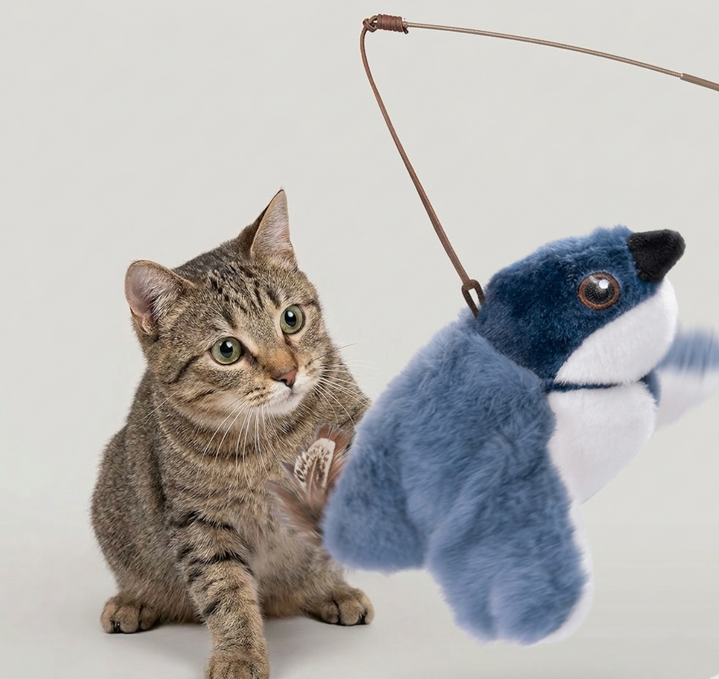 Flapping Bird Cat Toy by My Store 4
