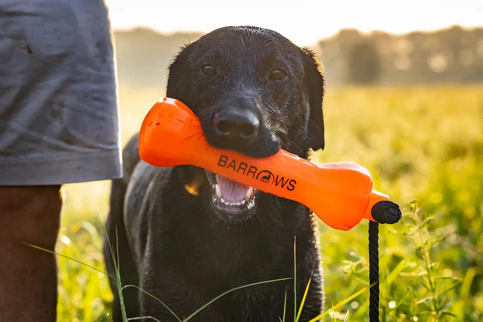 Barrows Training Bumper - Orange by Barrows Outdoor