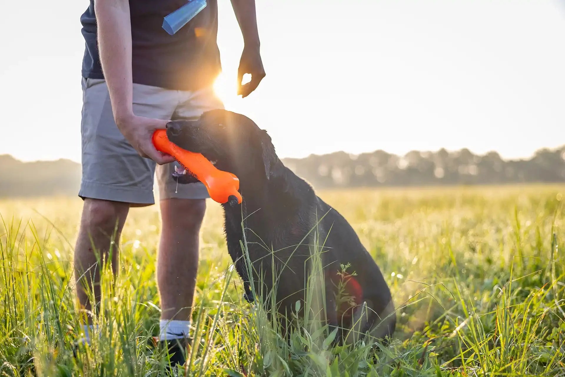 Barrows Training Bumper Pack - Orange by Barrows Outdoor